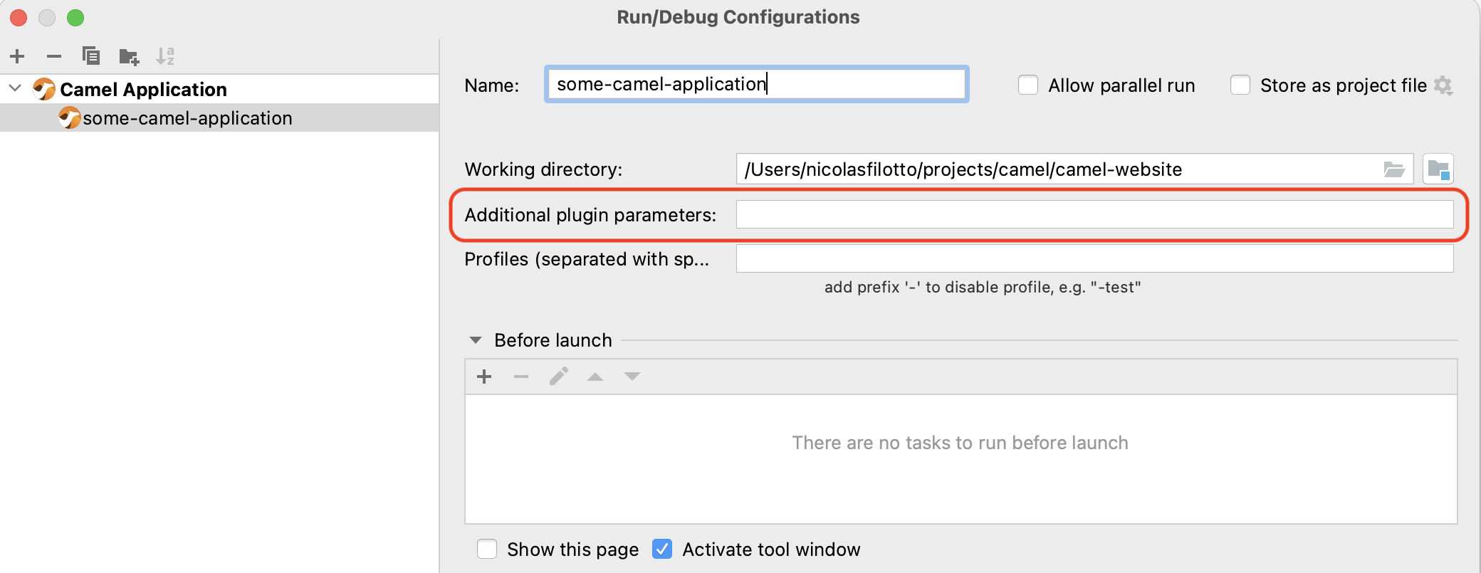 Custom plugin parameters