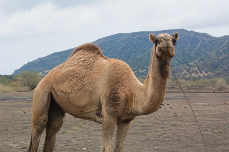 Blog post featured image